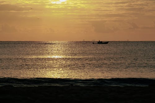 Безкоштовне стокове фото на тему «cancun, вниз, глибокий океан»