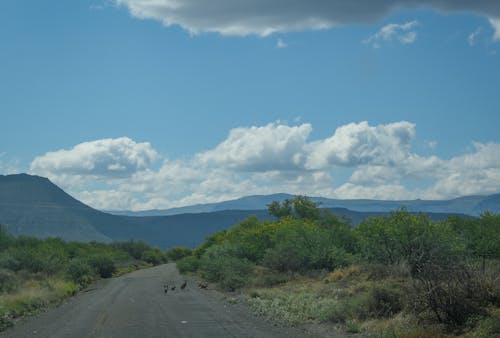Бесплатное стоковое фото с голубое небо, гора, грязная дорога