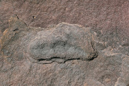 Δωρεάν στοκ φωτογραφιών με rock, ανώμαλος, επιφάνεια