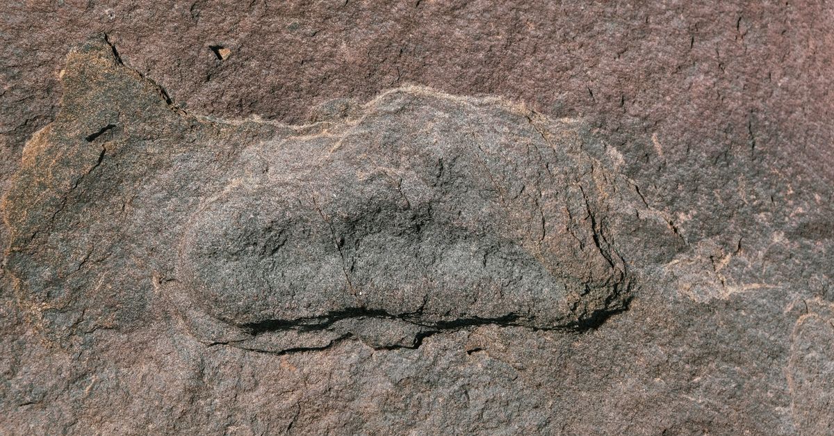 hoba meteorite