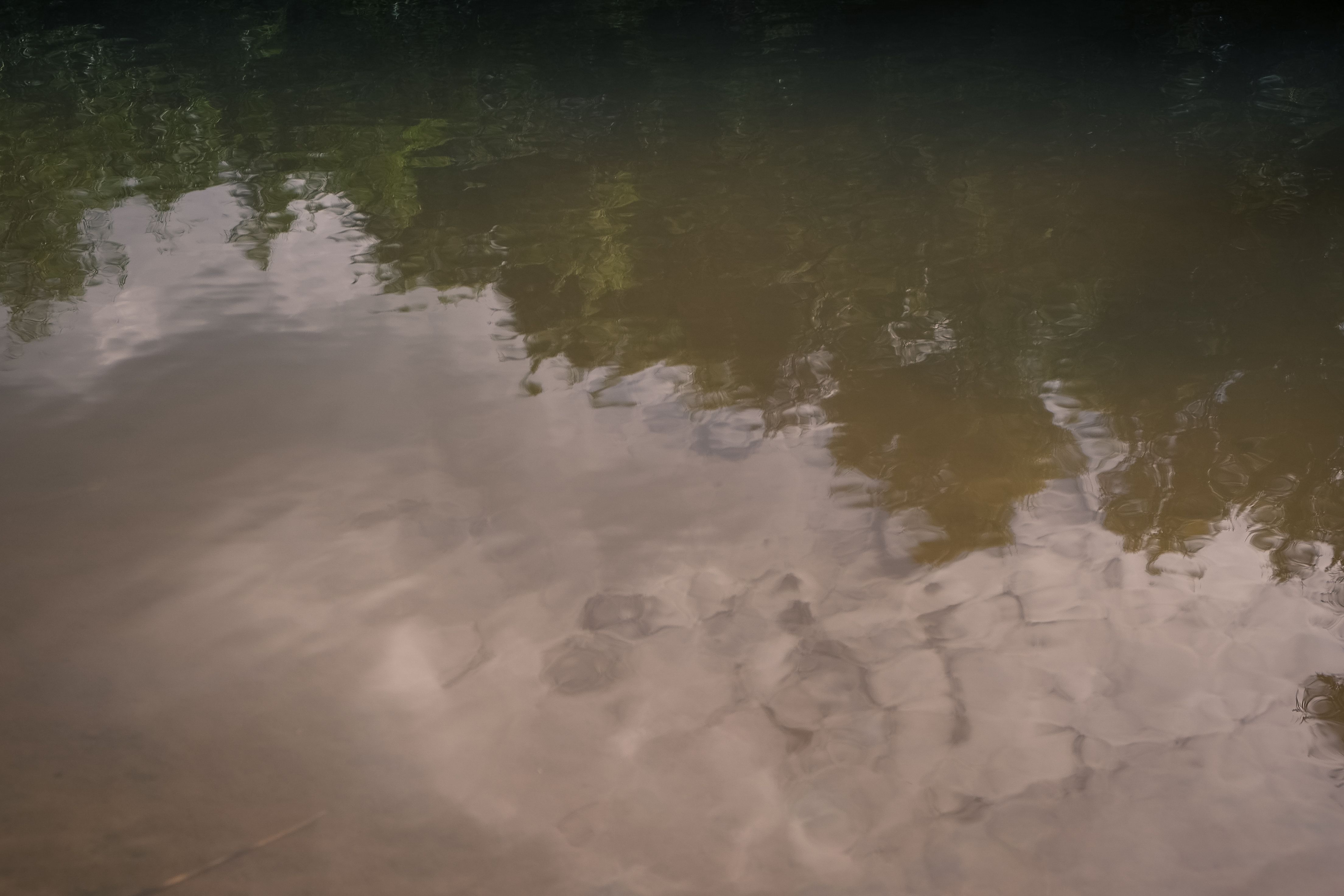 muddywaterdream