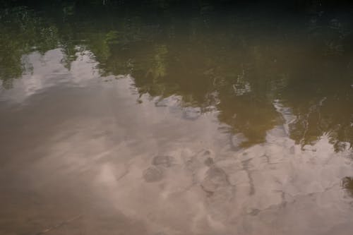 göl, ırmak, su kütlesi içeren Ücretsiz stok fotoğraf