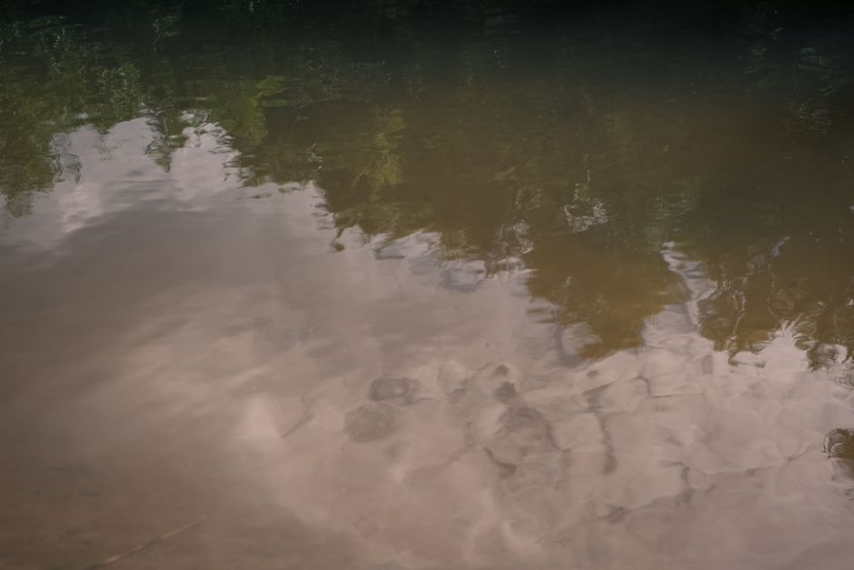muddywaterdream