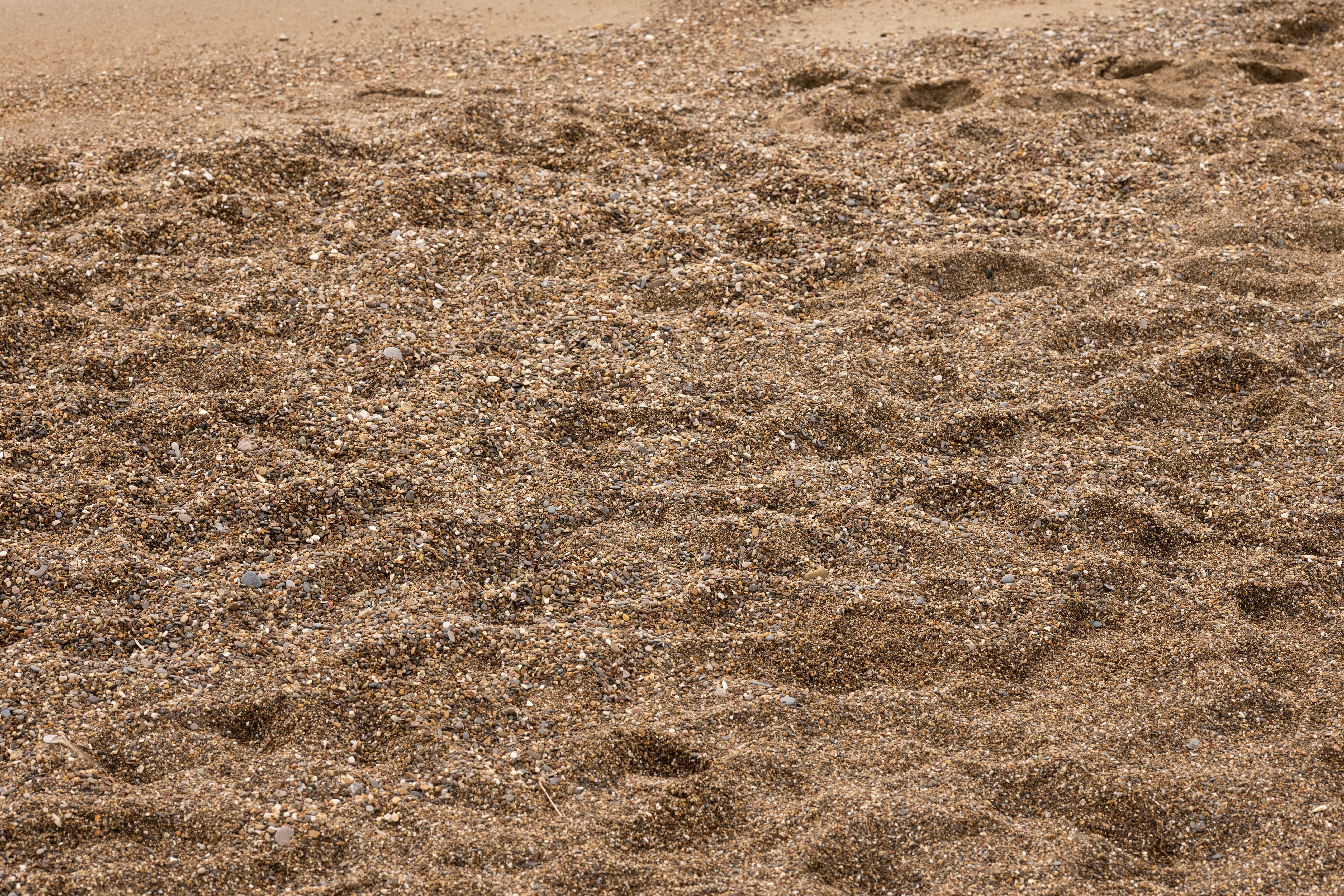 テクスチャ ラフな 砂 茶色い砂 閉じるの無料の写真素材