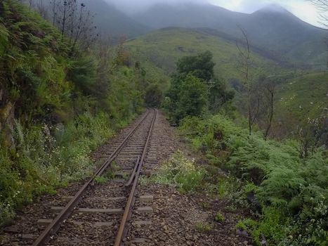 A tranquil railway track cutting through a misty, lush green mountain landscape, perfect for nature exploration.