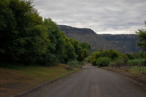 Free A tranquil countryside road surrounded by vibrant green trees and distant hills under a cloudy sky. Stock Photo