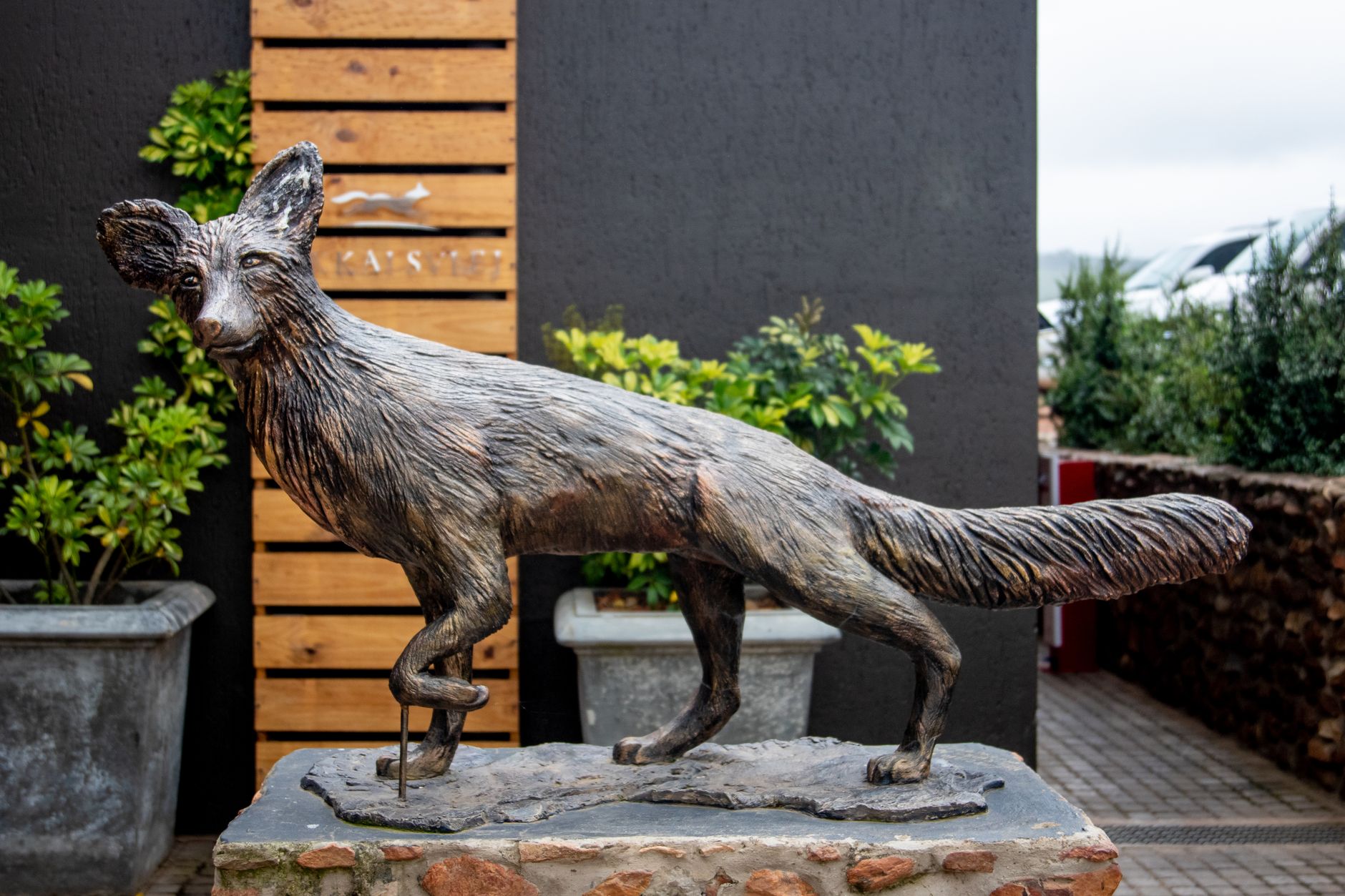 Outdoor bronze fox statue surrounded by green plants, an artful garden feature.