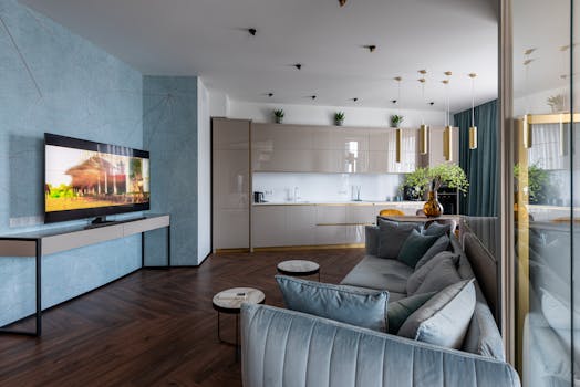 Interior of modern light apartment with comfortable sofas placed against TV set near kitchen counter with green plant at home