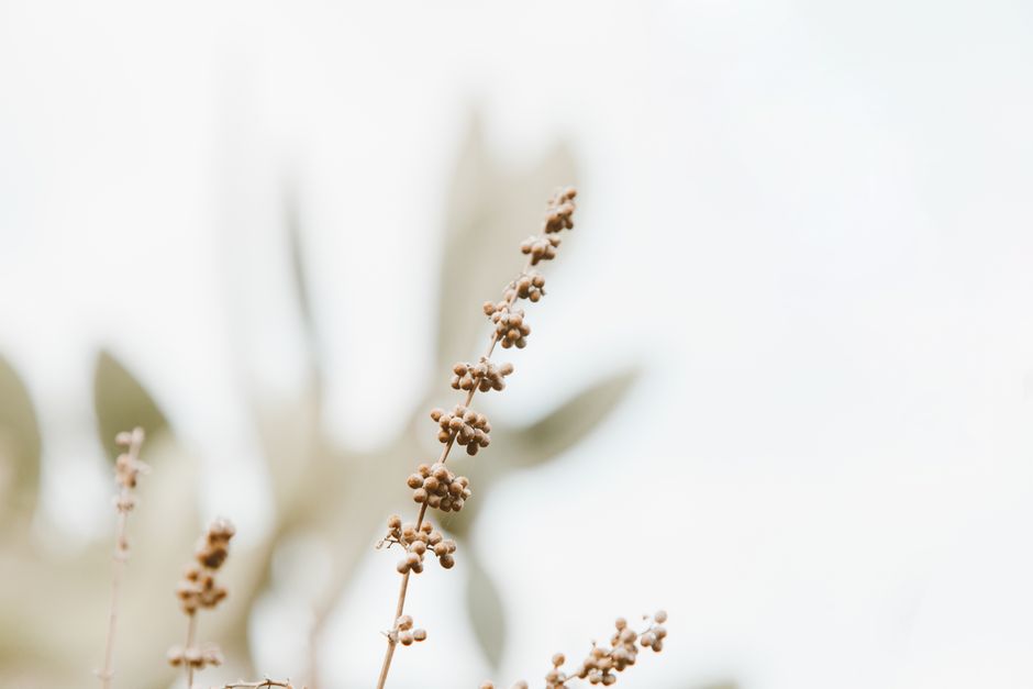 San Antonio's Baby Botox Boom: What You Need to Know Subtle Botox Effects - baby botox san antonio