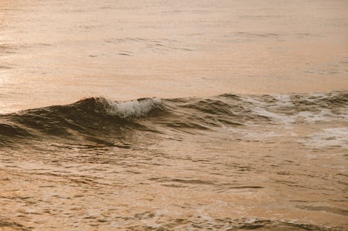 Foto profissional grátis de água, ao ar livre, litoral