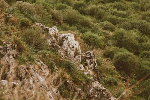 Безкоштовне стокове фото на тему «геологічних утворень, гора, зелена трава» стокове фото