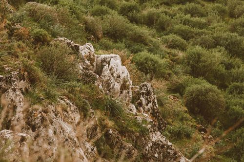 Free A picturesque view of a green hillside with rocky formations and lush vegetation. Stock Photo