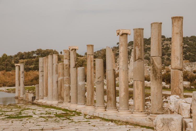 Brown Concrete Pillars Lined Up