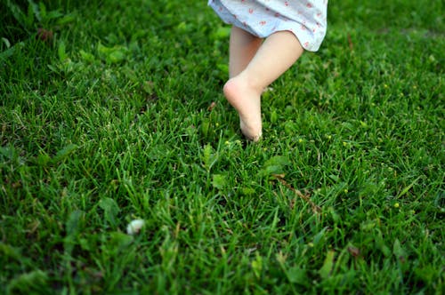 Foto stok gratis anak kecil, kaki bayi, rumput hijau