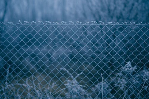 Metal Fence Securing a Property