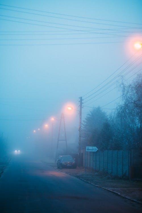 Ingyenes stockfotó este, fények, köd témában