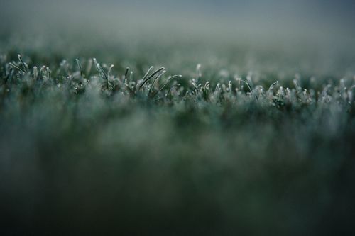 Free Detailed macro shot of frosty grass capturing natural winter beauty. Stock Photo