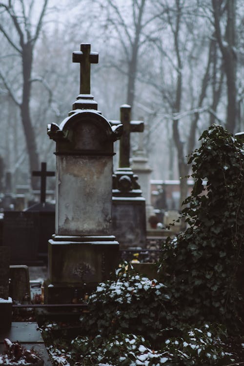 Immagine gratuita di cimitero, inverno, lapidi