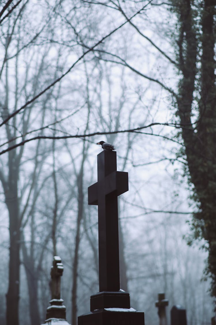 Bird Perched On A Black Cross