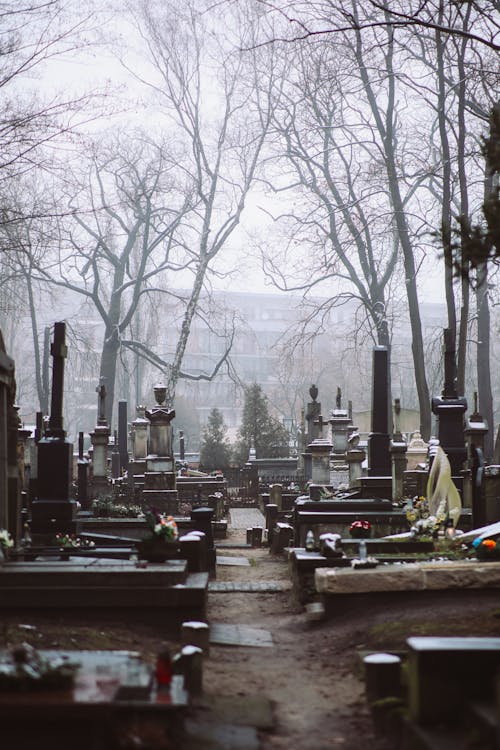 Gratis lagerfoto af gravsten, gravstene, kirkegård
