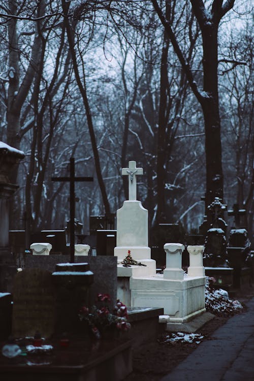 Ilmainen kuvapankkikuva tunnisteilla hautakivet, hautausmaa, lumi
