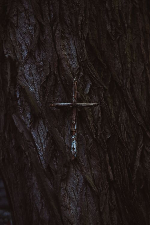Tree Cross Background A Wooden Cross on Tree Trunk · Free Stock Photo
