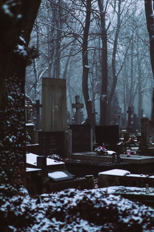 Gratis lagerfoto af gravsten, gravstene, kirkegård Lagerfoto