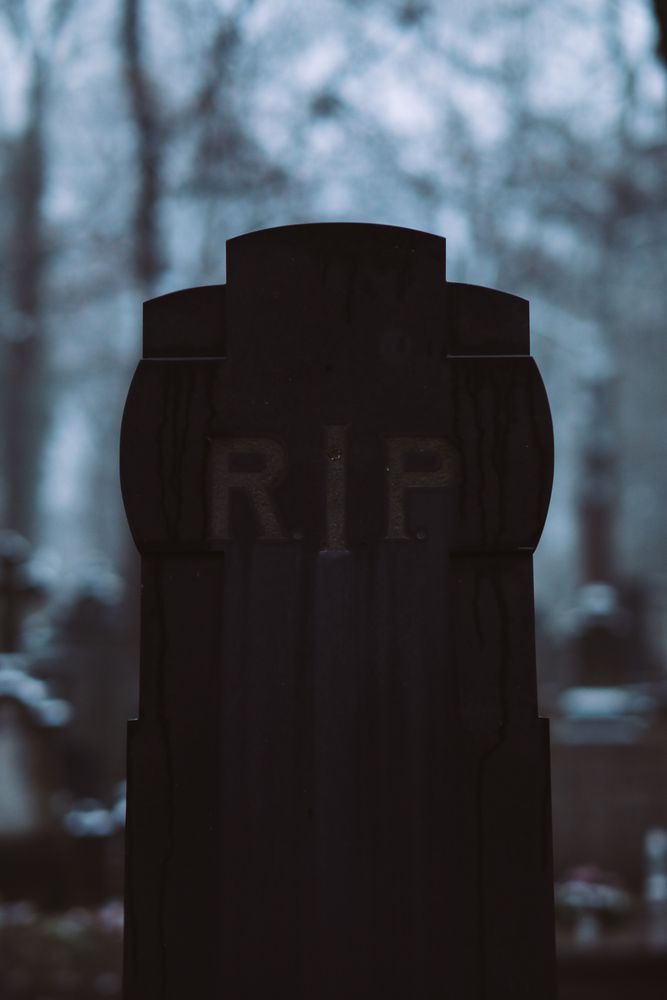 Rip Photos, Download The BEST Free Rip Stock Photos & HD Images