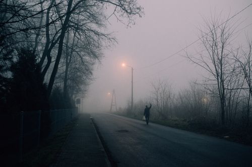 Free Man walks through dense fog on a deserted road flanked by bare trees, evoking solitude. Stock Photo