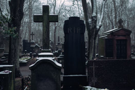 Immagine gratuita di alberi spogli, architettura, cielo coperto