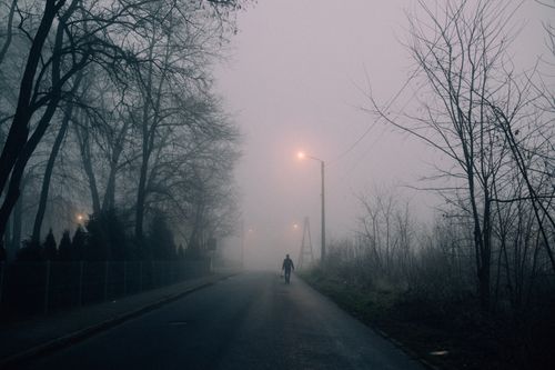 Free Atmospheric foggy street scene with bare trees, a lone walker, and glowing street lamps. Stock Photo