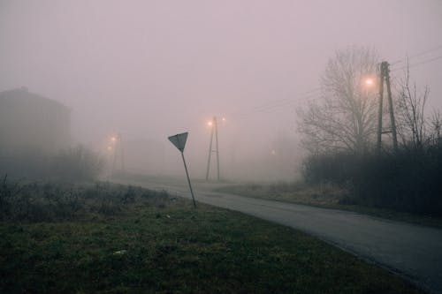 Foggy Weather in the Neighborhood 