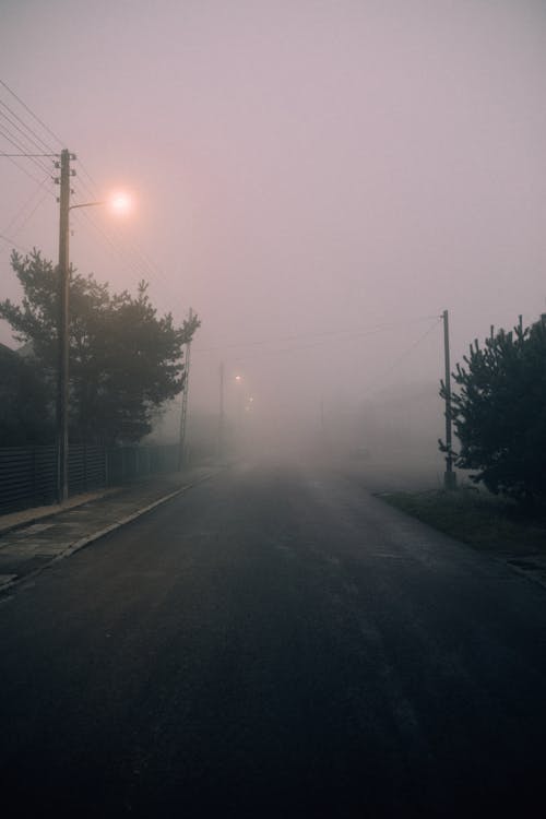 Foggy Street During Night Time