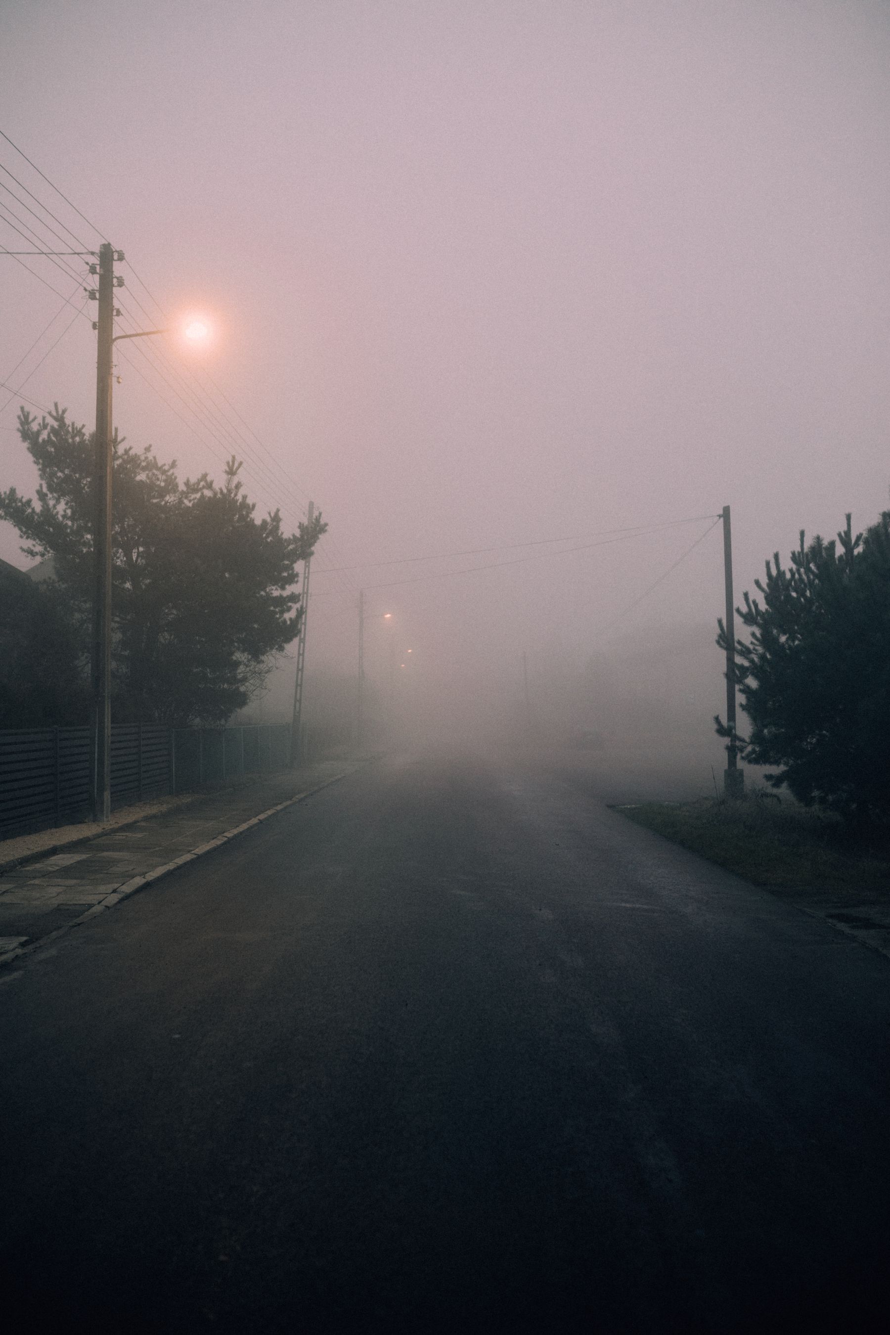 Deserted street drowned in fog under street lamps at night