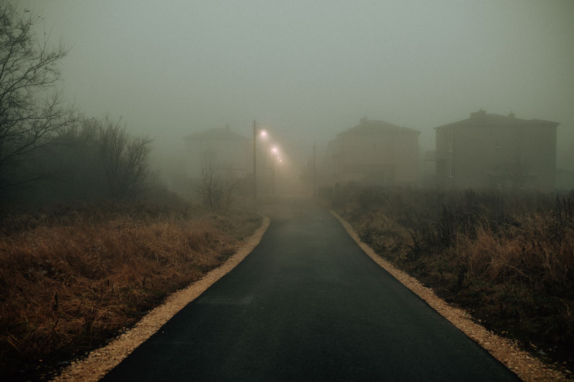 A foggy residential street illuminated by street lamps on a gloomy night, creating a mysterious atmosphere.