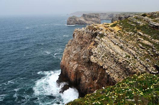 Dramatic coastal cliffs with ocean waves crashing below, surrounded by blooming wildflowers under a gray sky.