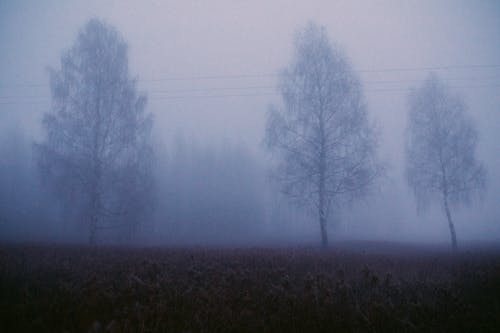 壞心情, 晚上, 有霧 的 免費圖庫相片