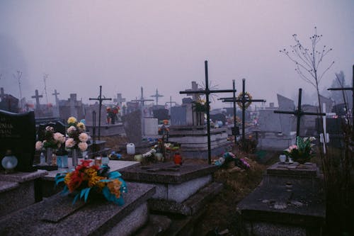 Photo of a Cemetery on a Foggy Day