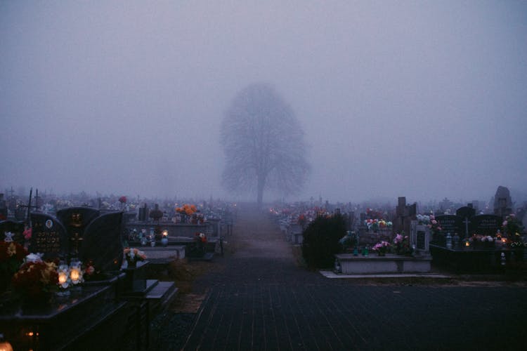 Tombstones In The Cemetery
