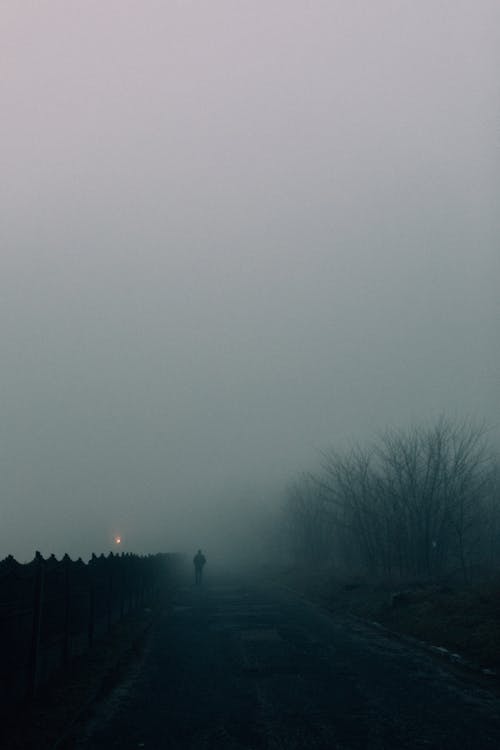 A Person Walking on the Road in a Foggy Weather