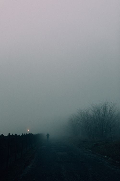 Free A solitary figure walks down a fog-covered road, creating a mysterious atmosphere. Stock Photo