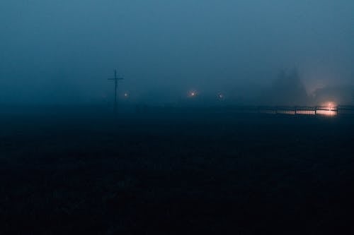 Immagine gratuita di alberi, bassa visibilità, campagna