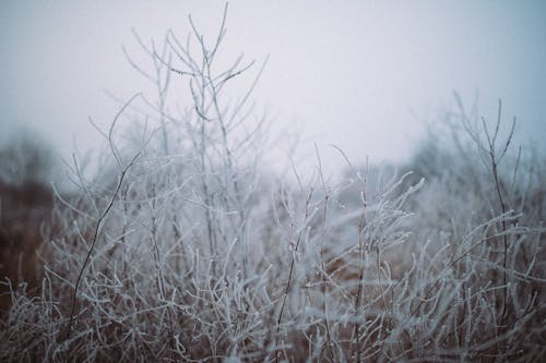 Midwest, East Feel The Chill—Temps Set To Drop