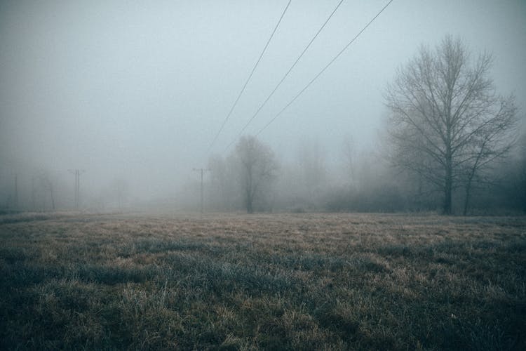 Electrical Lines Across The Foggy Grassland