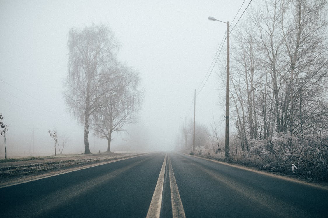 Thick Fog Covering the Road