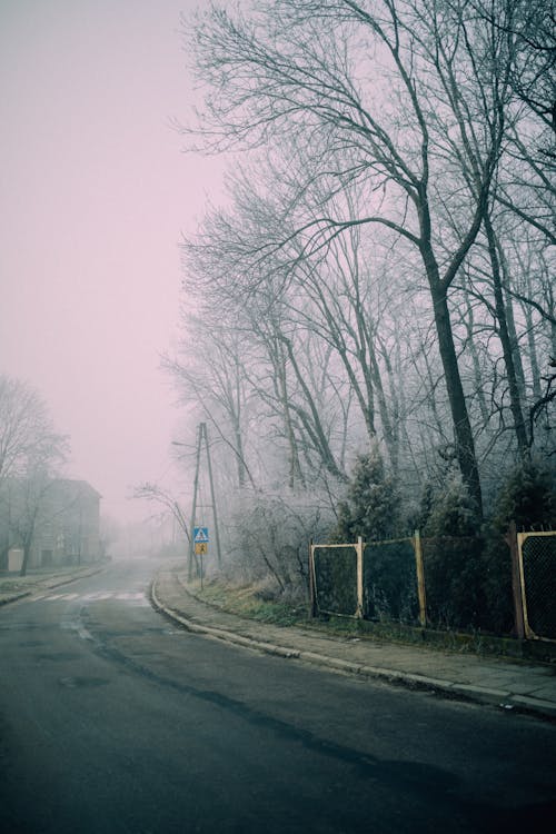 Fog Covering the Asphalt Road