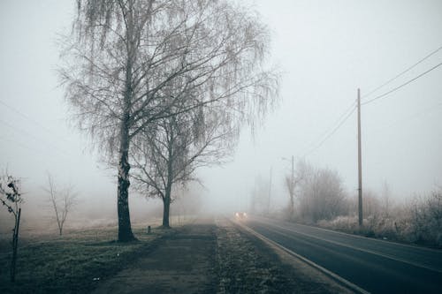 A Car Passing Though a Foggy Road