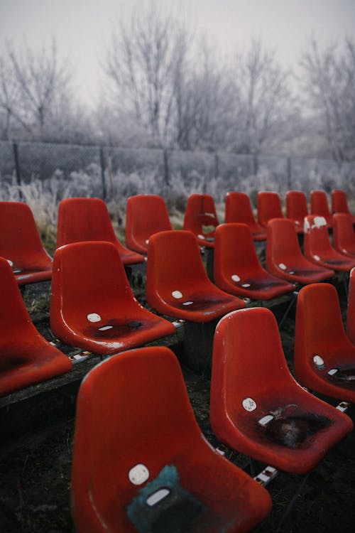 Red Stadium Seats 