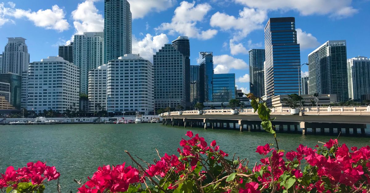 Vibrant Miami skyline with lush bougainvillea and waterfront view under a clear blue sky.