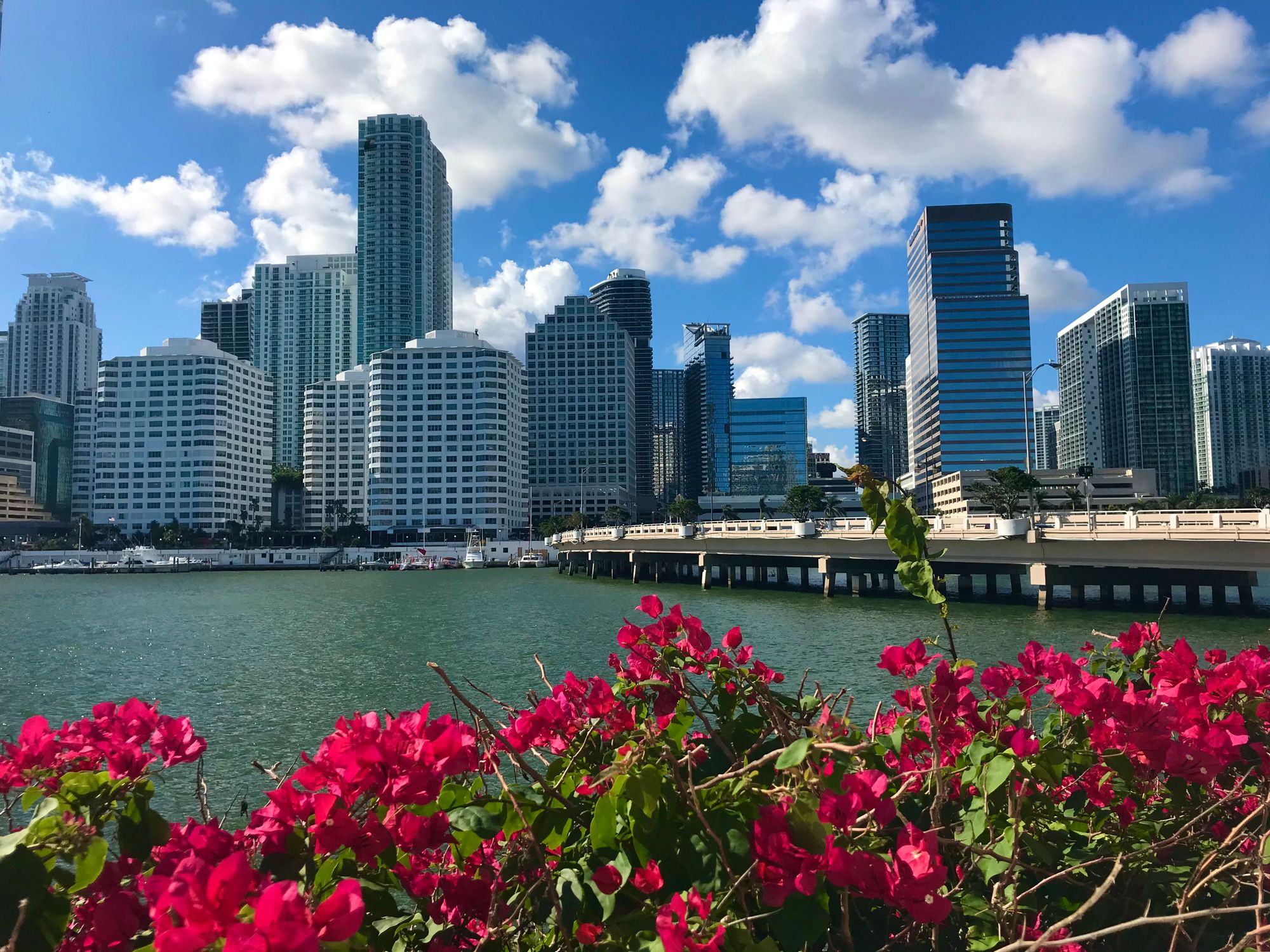 Miami waterfront under clear skies